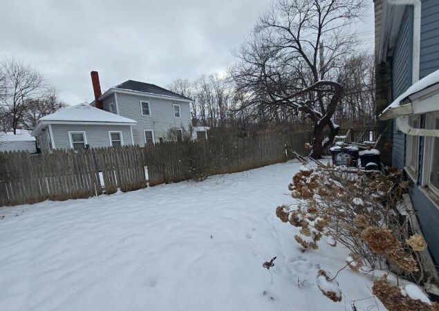 view of yard layered in snow