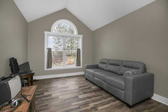 living room featuring lofted ceiling and dark hardwood / wood-style floors