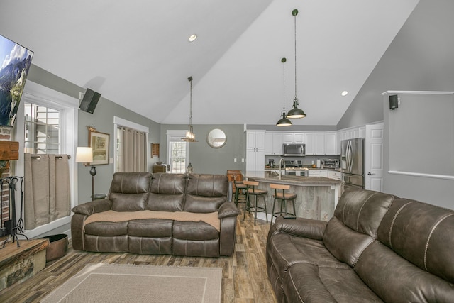 living room featuring hardwood / wood-style flooring and high vaulted ceiling