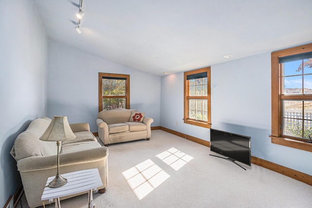 living room featuring carpet floors, rail lighting, and vaulted ceiling