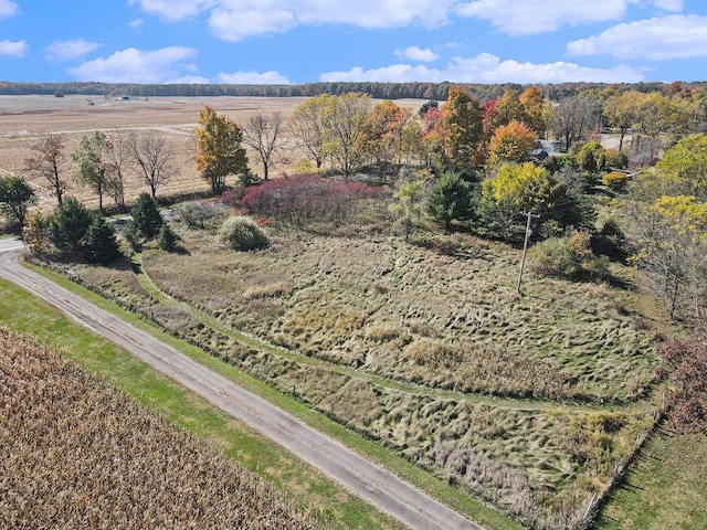 bird's eye view with a rural view