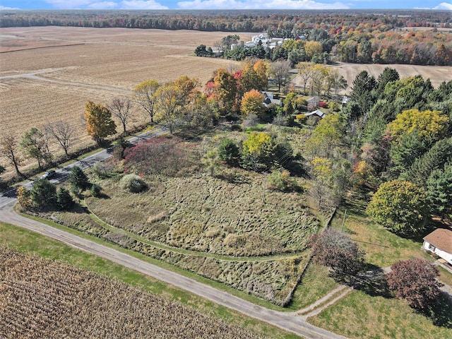 birds eye view of property featuring a rural view