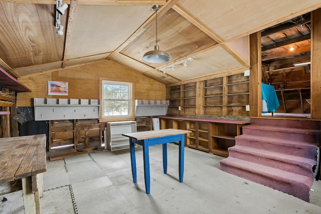 basement with wood walls