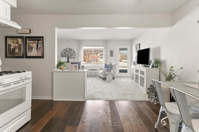 living room with dark wood-type flooring