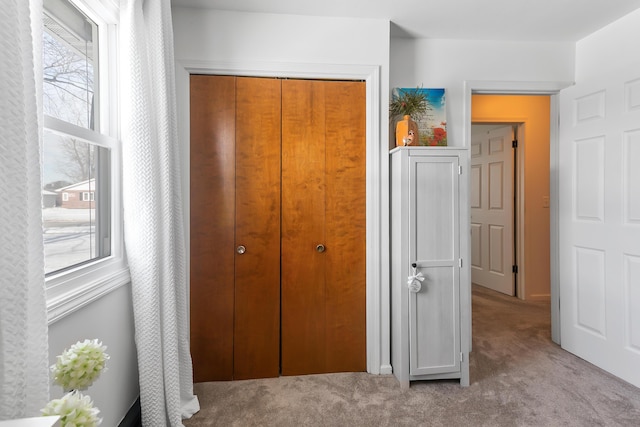 bedroom featuring multiple windows, light colored carpet, and a closet