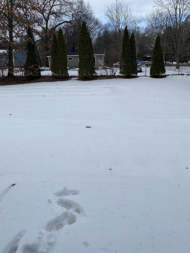 view of yard covered in snow