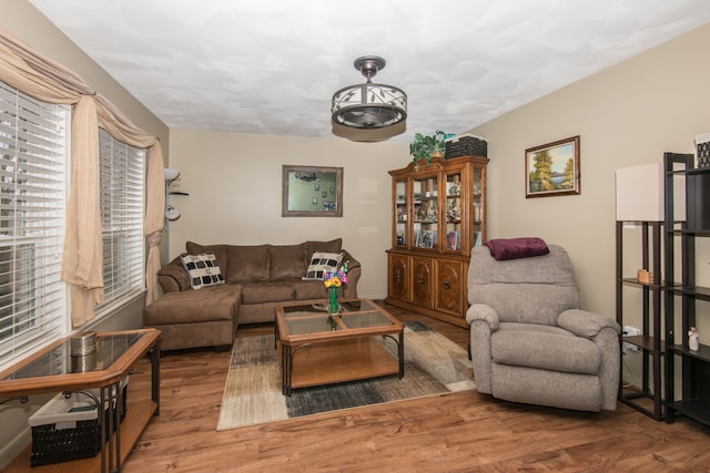 living room with hardwood / wood-style floors