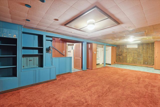 basement with wooden walls, built in features, and carpet flooring