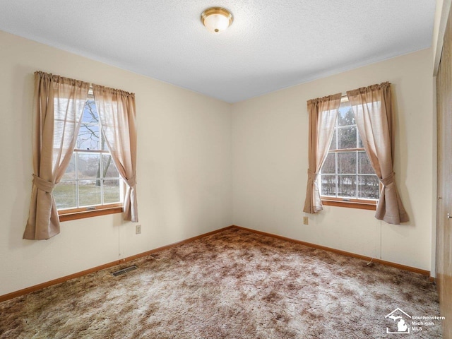 unfurnished room with carpet and a textured ceiling