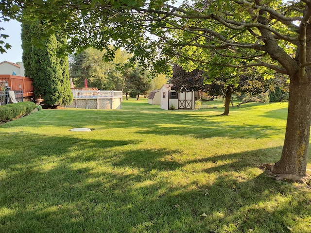 view of yard with a storage unit