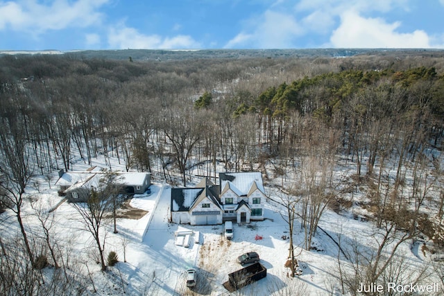 view of snowy aerial view