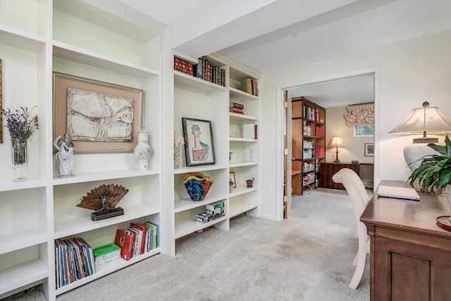 view of carpeted home office