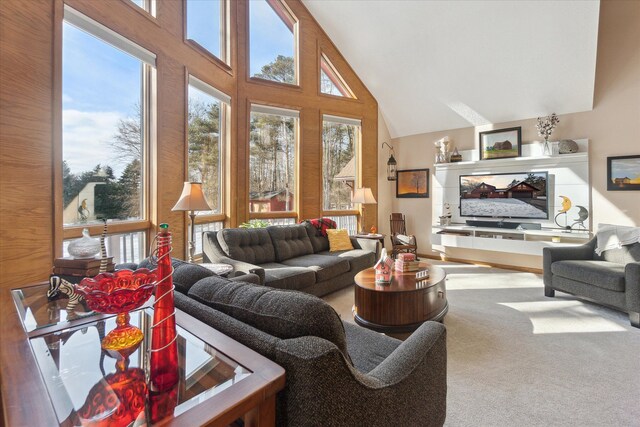 carpeted living room with high vaulted ceiling