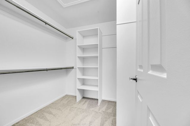 walk in closet with light carpet