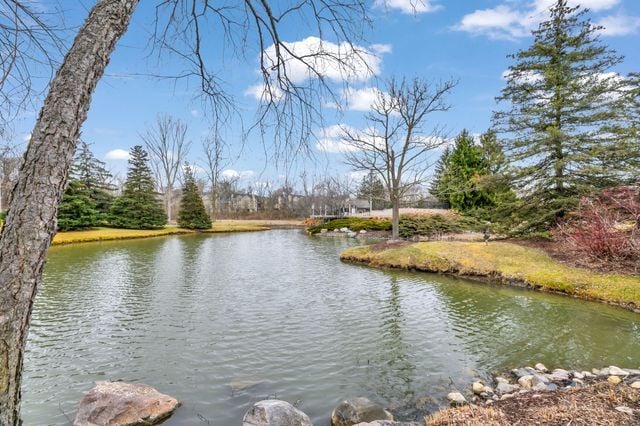 view of water feature