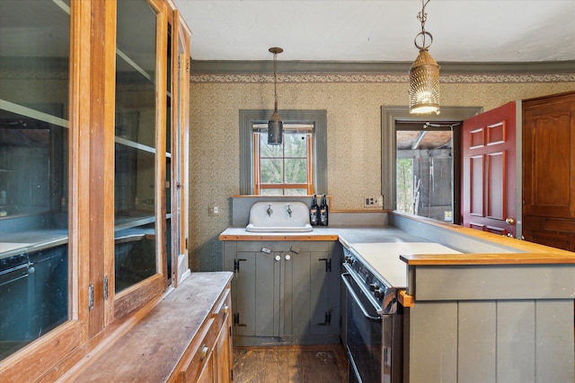 kitchen with dark wood-type flooring and decorative light fixtures