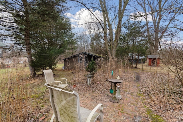 view of yard with a shed