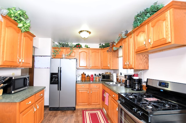 kitchen featuring sink, hardwood / wood-style floors, and appliances with stainless steel finishes