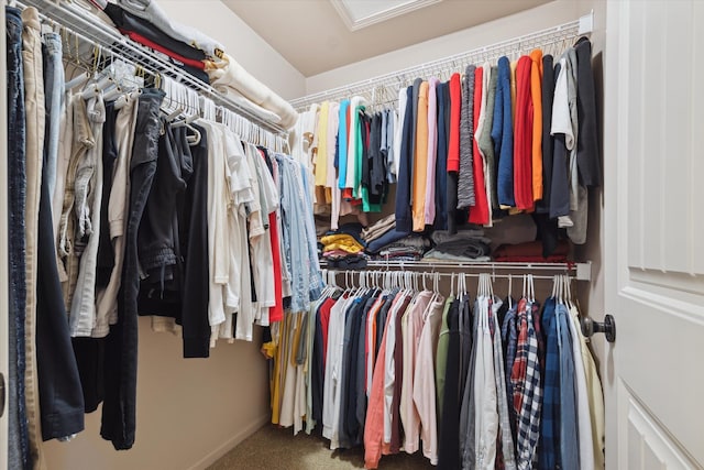 walk in closet with carpet floors