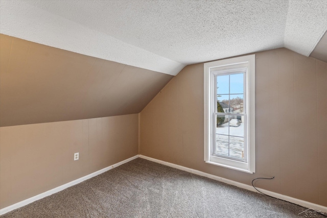 additional living space with carpet, lofted ceiling, and a textured ceiling