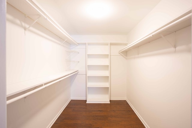 spacious closet featuring dark hardwood / wood-style flooring