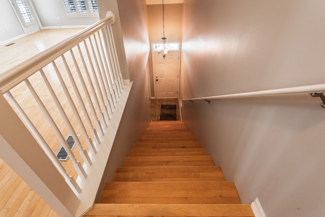 stairway with hardwood / wood-style floors