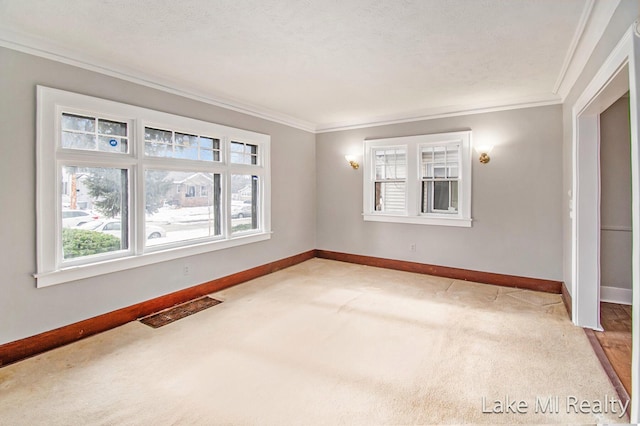 carpeted empty room featuring crown molding and a textured ceiling