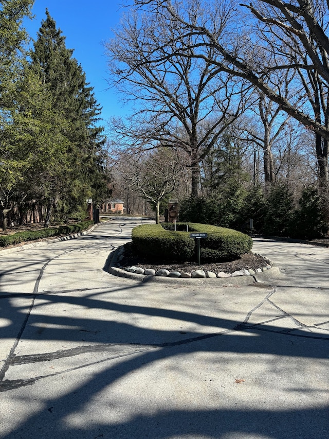 view of street with curbs