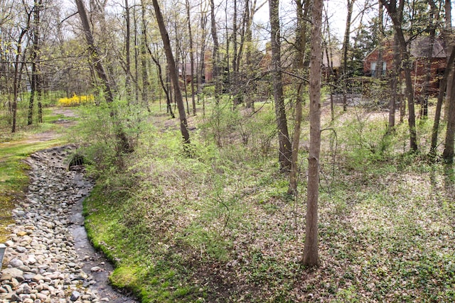 view of nature