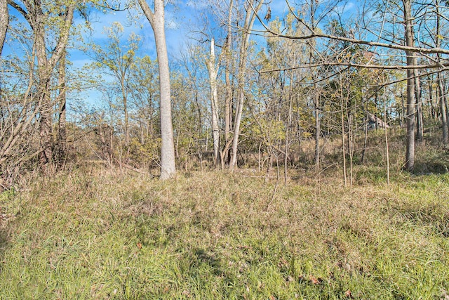 view of landscape