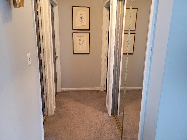 40315 52nd Ave, Paw Paw, MI 49079 - corridor featuring carpet floors and baseboards
