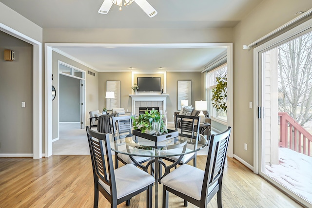 dining space featuring crown molding, ceiling fan, a fireplace, and light hardwood / wood-style floors