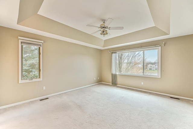 spare room featuring a raised ceiling and light colored carpet