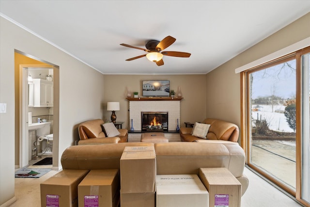 carpeted living room with ceiling fan, ornamental molding, and a fireplace