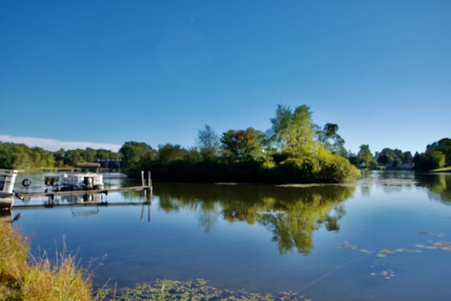 water view featuring a dock