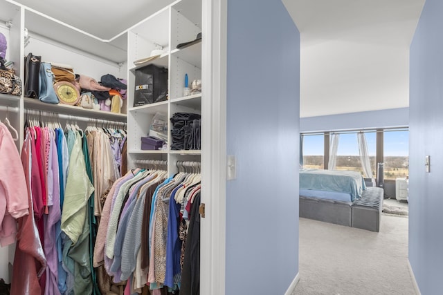 walk in closet featuring carpet