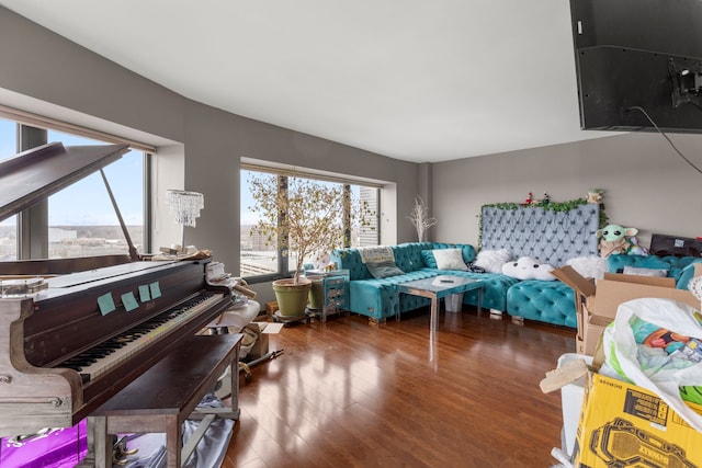 living room with dark hardwood / wood-style flooring