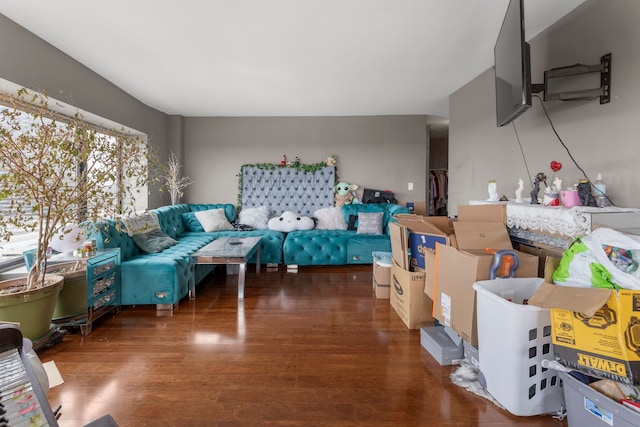 living room featuring dark hardwood / wood-style floors