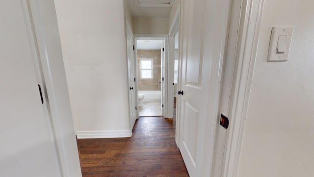 corridor with dark hardwood / wood-style flooring