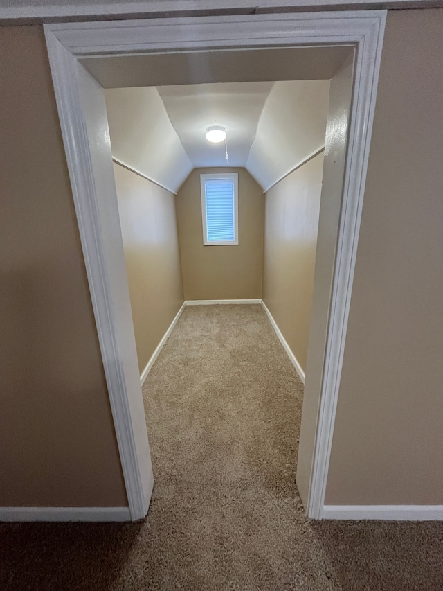 additional living space featuring vaulted ceiling and light colored carpet