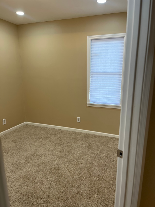 empty room featuring carpet