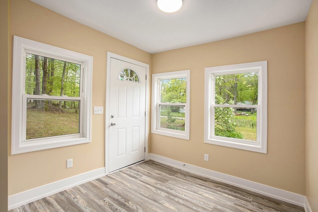 entrance foyer with light hardwood / wood-style floors