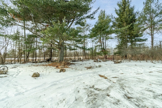 view of snowy landscape