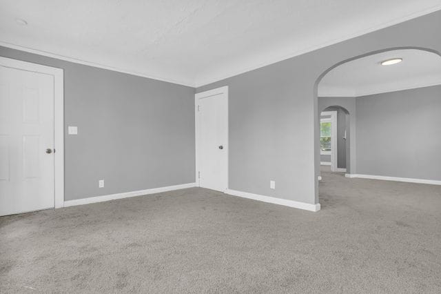 carpeted empty room featuring crown molding