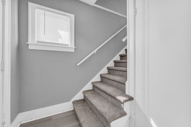 staircase with hardwood / wood-style floors