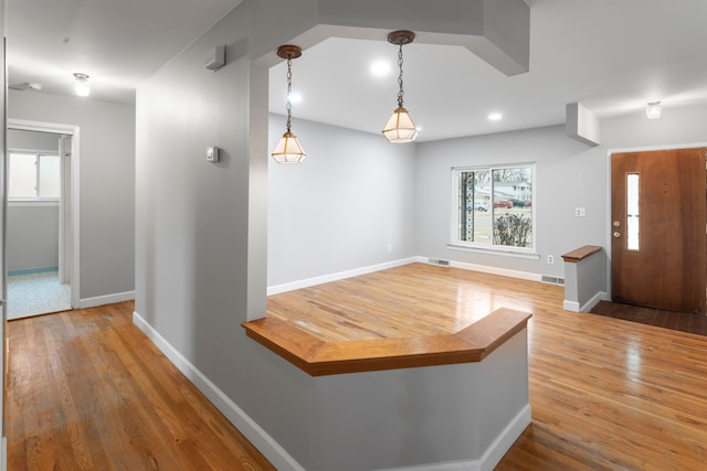 entrance foyer featuring wood-type flooring