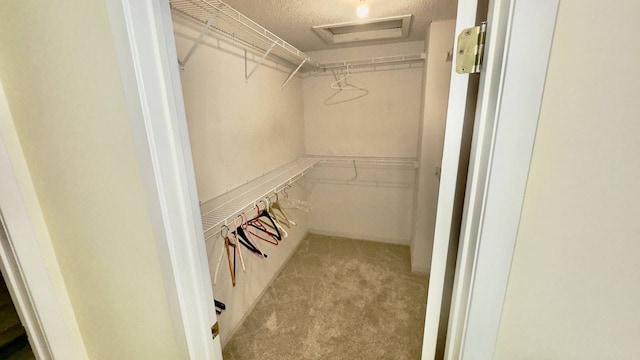 walk in closet with light carpet