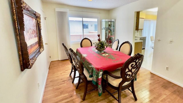 dining room with light hardwood / wood-style flooring