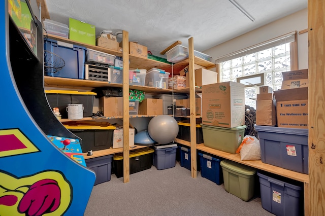 1611 Harwood Dr, Oxford, MI 48371 - view of storage area