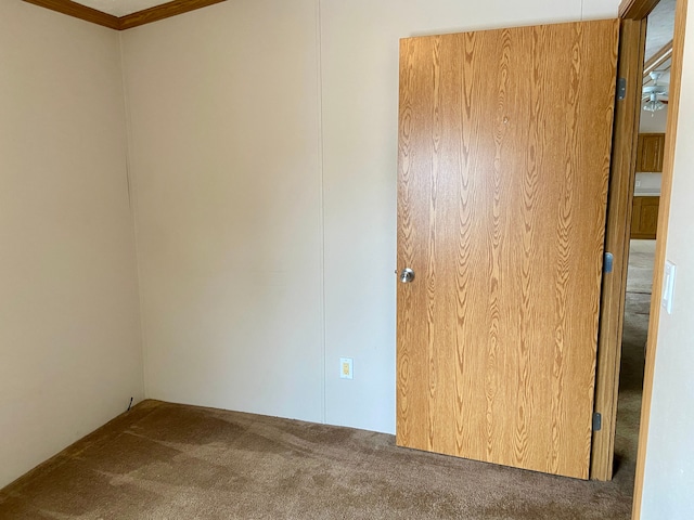 empty room with carpet flooring